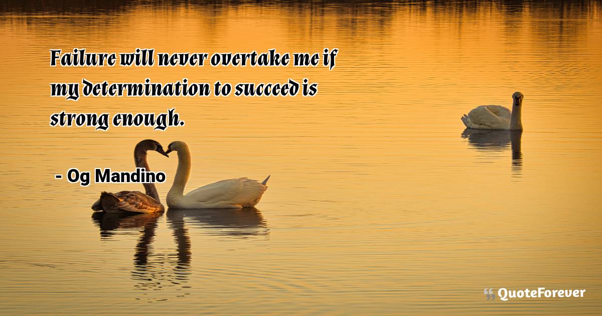 Failure will never overtake me if my ...